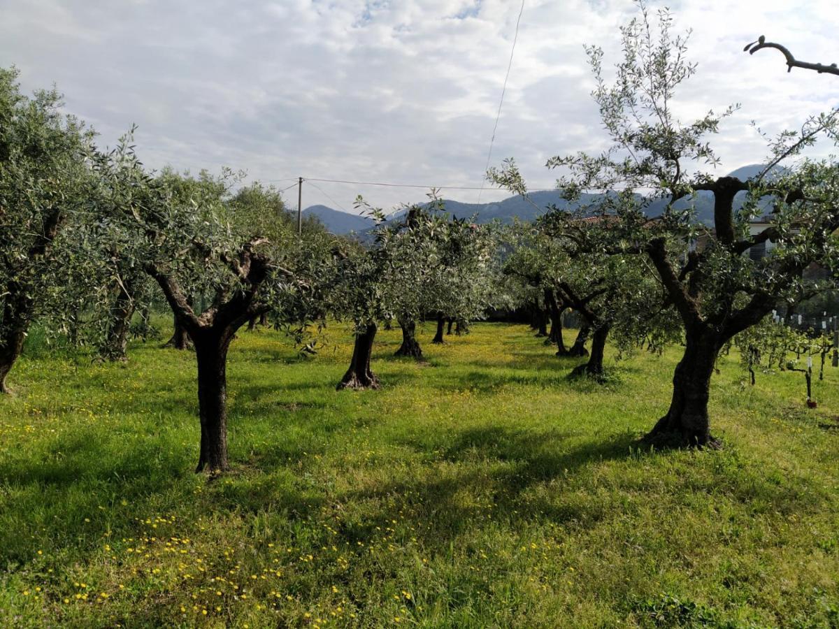 Agriturismo La Vite Maritata ปิเอตราซานตา ภายนอก รูปภาพ